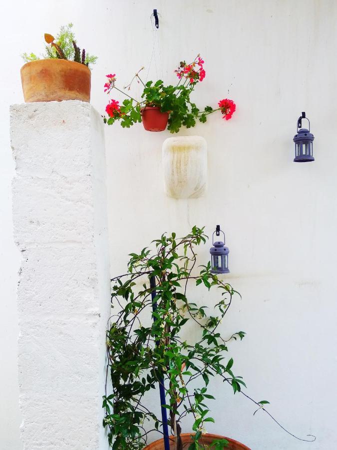 אלסאנו Masseria Delle Rose 1760 מראה חיצוני תמונה